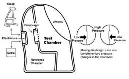 Bod Pod validation